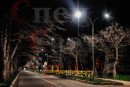 Ограждение уличное светодиодное "Звездные нити" золотистые