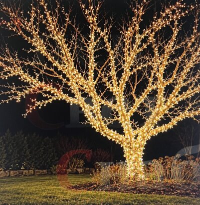 Гирлянды на деревья "Спайдер-Супер" 6 x 10м Теплый белый