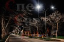 Уличное световое ограждение "Занавес со звездами" 4 х 0,8 м Триколор нити золотой